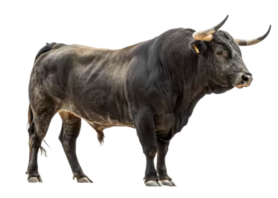 Imagen PNG para descargar